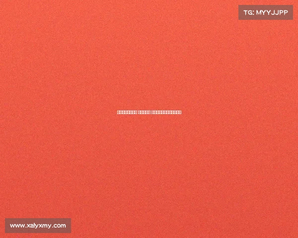 山东与新鹏城对决 五外援先发 高准翼刘洋安永佳出战争锋