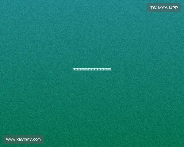 迪马济奥：罗马未能满足狼队对法比奥席尔瓦的转会要价